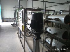 大王化工厂纯净水设备案例